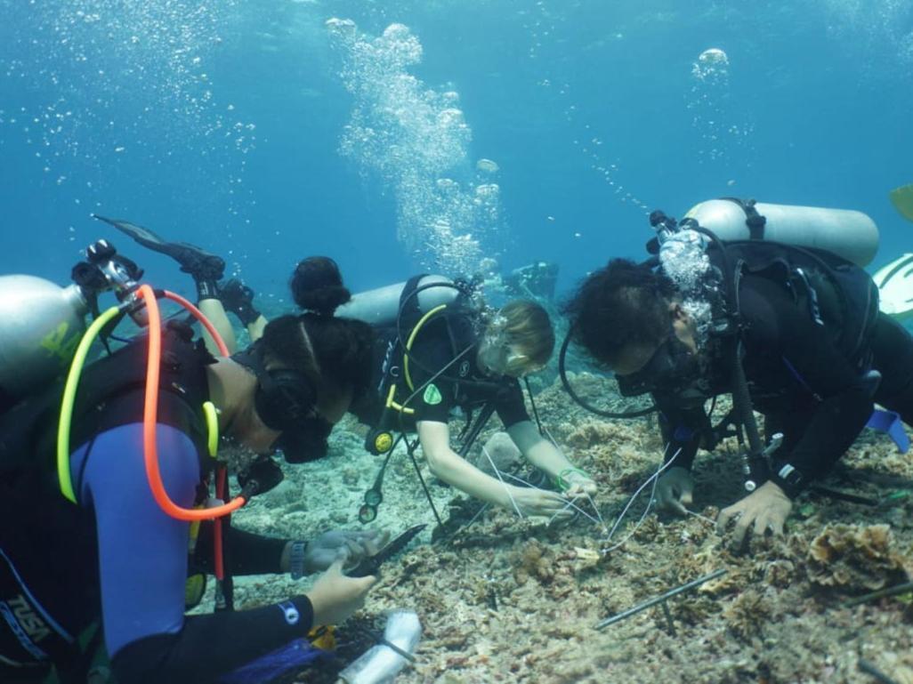 The Sagara Penida نوسا بينيدا الغرفة الصورة